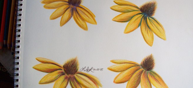 Black Eye Susan Flower Color Study: Clockwise from left, purple, blue, green, and red.