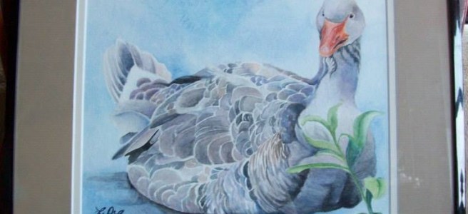 Goose Portrait by Laurel Anne Equine Art
