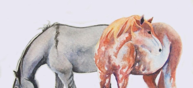 "Sabino and Grulla" by Laurel Anne Equine Art