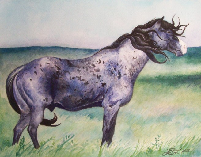 War Chief Courtesy of The Nokota Horse Conservancy®