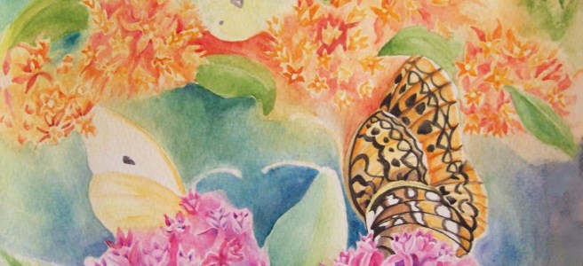 Butterfly Weed by Laurel Anne Equine Art