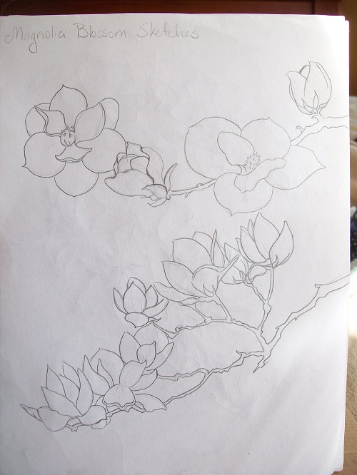 Magnolia Sketch by Laurel Anne Equine Art